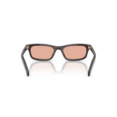 Prada Full Frame Sunglasses In Brown