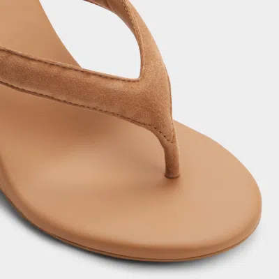 Aldo Isabelia In Brown