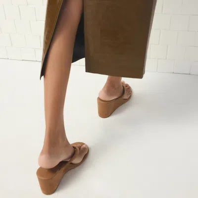 Aldo Isabelia In Brown