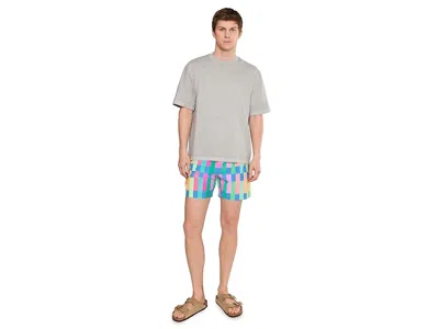Chubbies The Easygoers 5.5 (classic Lined Swim Trunks) In Multi