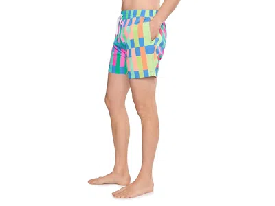 Chubbies The Easygoers 5.5 (classic Lined Swim Trunks) In Multi