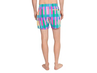 Chubbies The Easygoers 5.5 (classic Lined Swim Trunks) In Multi