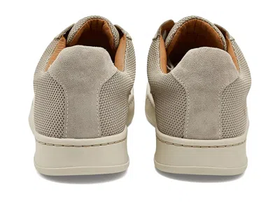 Align Verano In Gray