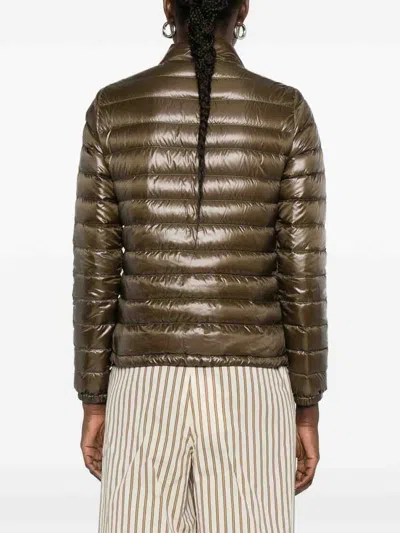 Herno Down Jacket In Metallic