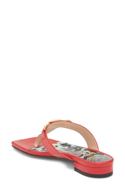 Roberto Cavalli Toe Post Sandal In Multi