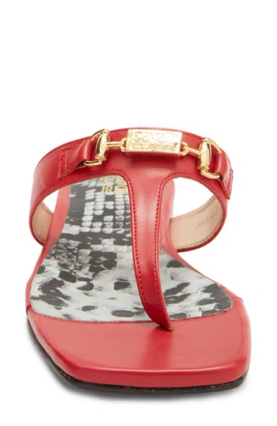 Roberto Cavalli Toe Post Sandal In Multi