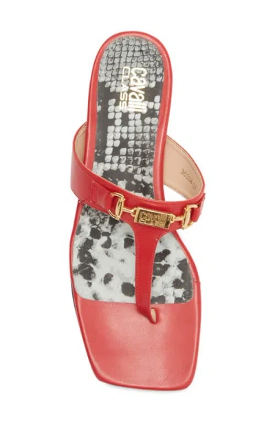 Roberto Cavalli Toe Post Sandal In Multi