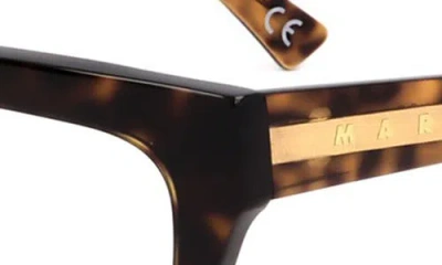 Marni 52mm Rectangular Reading Glasses In Brown