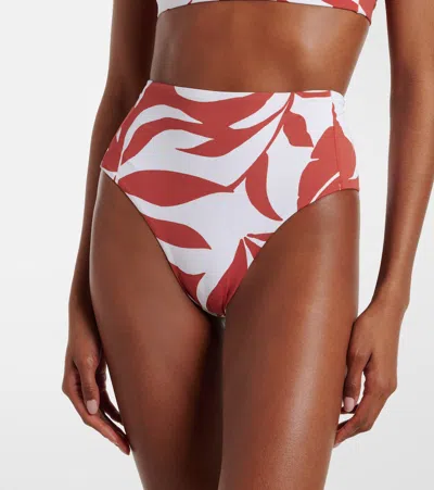 Max Mara Stilla Printed Bikini Bottoms In Multi