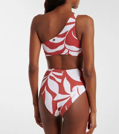 Max Mara Stilla Printed Bikini Bottoms In Multi