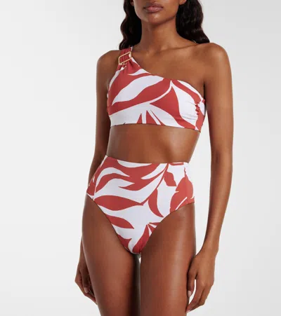 Max Mara Stilla Printed Bikini Bottoms In Multi