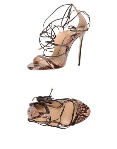 Dsquared2 Sandals In Light Brown