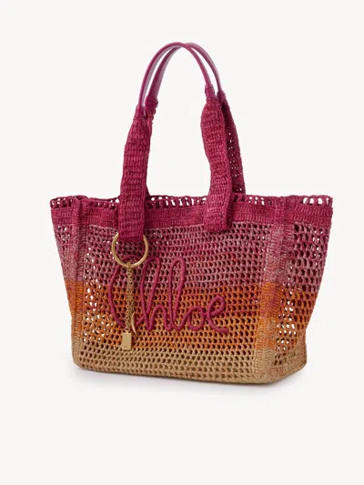 Chloé Womens Multicolor Orange Summer Banana East-west Raffia Tote Bag In Pink