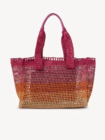 Chloé Womens Multicolor Orange Summer Banana East-west Raffia Tote Bag In Pink