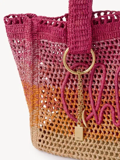 Chloé Womens Multicolor Orange Summer Banana East-west Raffia Tote Bag In Pink