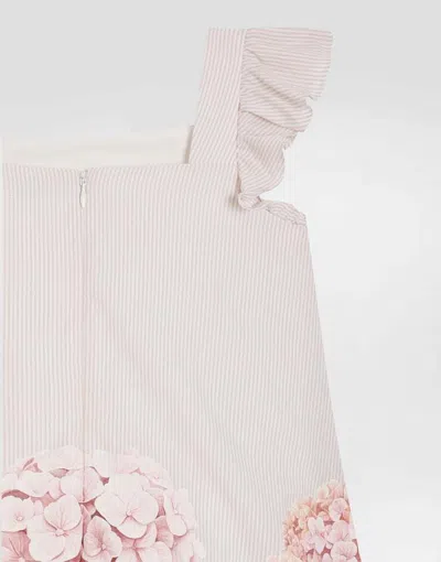 Dolce & Gabbana Hydrangea-print Striped Cotton Canvas Dress In Multi