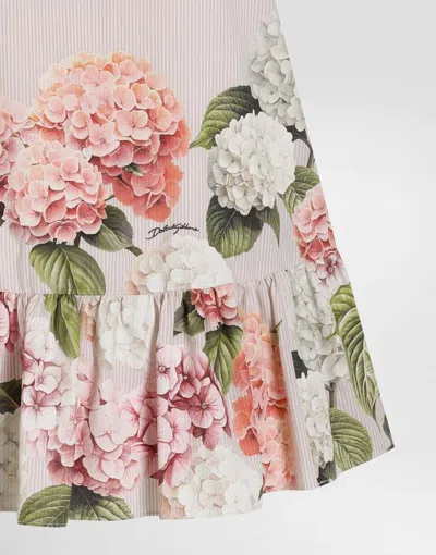 Dolce & Gabbana Hydrangea-print Striped Cotton Canvas Dress In Multi