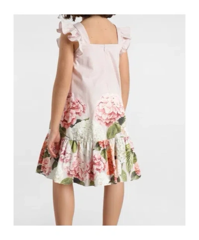 Dolce & Gabbana Hydrangea-print Striped Cotton Canvas Dress In Multi