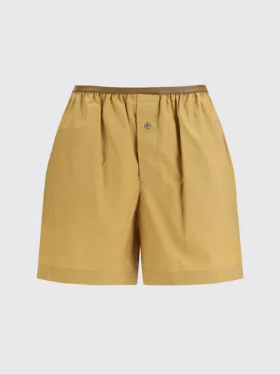 Lemaire Buttoned Elasticated Shorts In Brown
