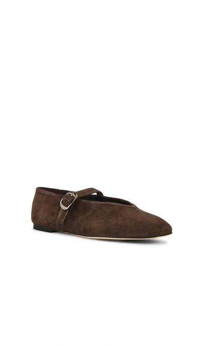 Tony Bianco Bobbi Espresso Suede In Brown