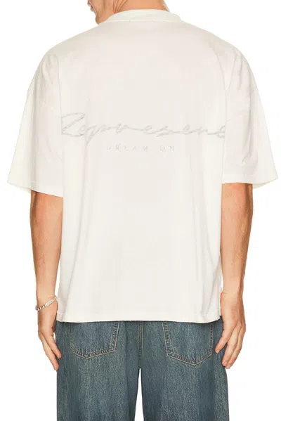 Represent T Shirt Western Doberman Graphic Crew Neck In Multi