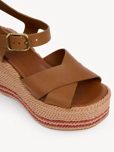 Chloé Elegant Sandal With 10.5 Cm Heel Height For Women In Pink