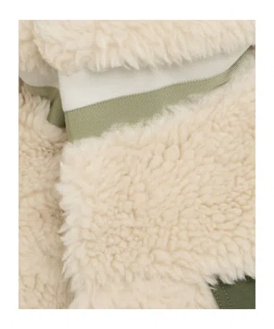 Sacai Teddy  Wool Jacket In Multi