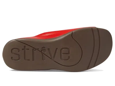 Strive Java Ii In Red