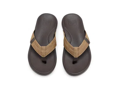 Reef Cushion Phantom 2.0 In Brown
