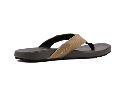 Reef Cushion Phantom 2.0 In Brown