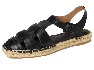 Bernardo Monri In Black