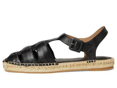 Bernardo Monri In Black