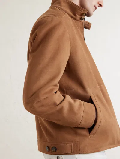 Canali Suede Harrington Jacket In Brown