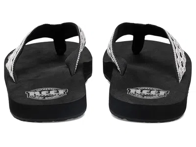 Reef Smoothy In Multi