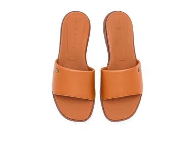 Reef Sunny Arrianah In Brown