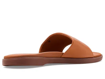 Reef Sunny Arrianah In Brown