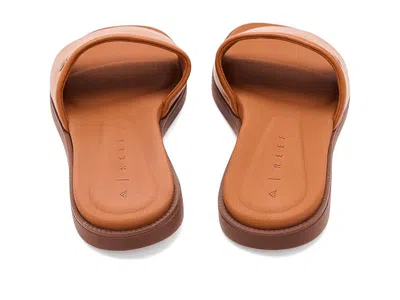 Reef Sunny Arrianah In Brown