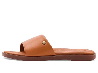 Reef Sunny Arrianah In Brown