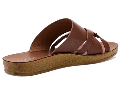 Los Cabos Bride In Brown