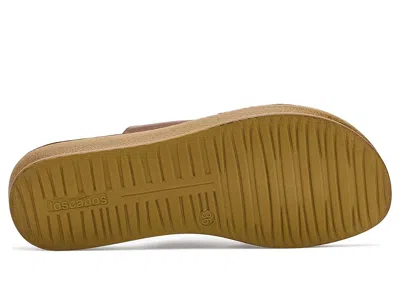 Los Cabos Bride In Brown