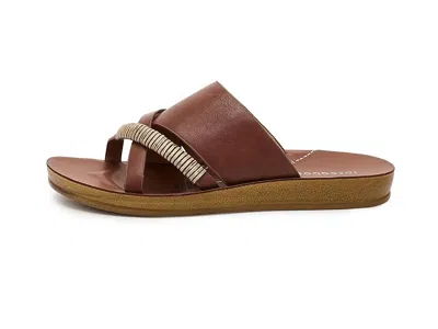 Los Cabos Bride In Brown