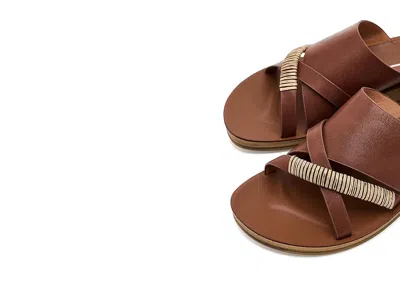 Los Cabos Bride In Brown