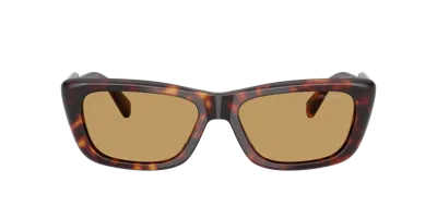 Miu Miu Womens Brown Mu B12s Rectangular-frame Acetate Sunglasses In Blue