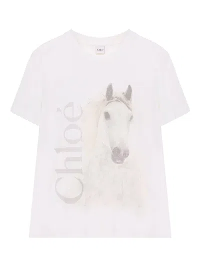 Chloé Cotton Crew Neck Graphic Short Sleeve T-shirt In White