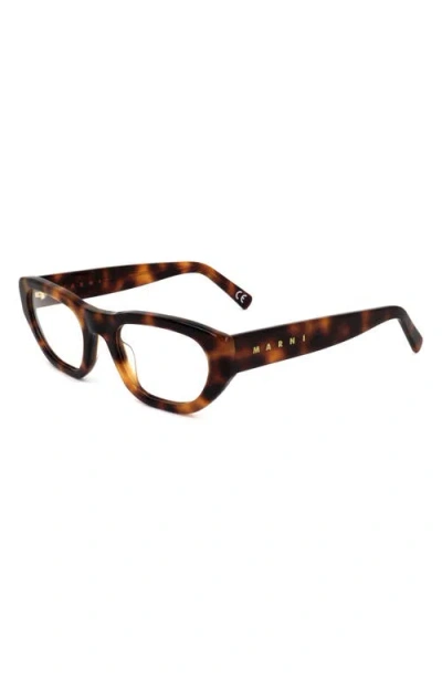 Marni 53mm Rectangular Reading Glasses In Brown