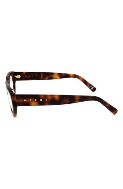 Marni 53mm Rectangular Reading Glasses In Brown