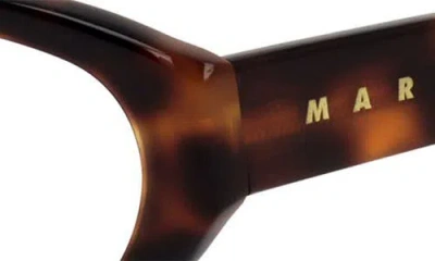 Marni 53mm Rectangular Reading Glasses In Brown