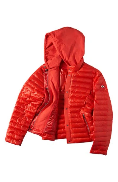Moose Knuckles Cloud Walker 800 Fill Power Down Jacket In Red