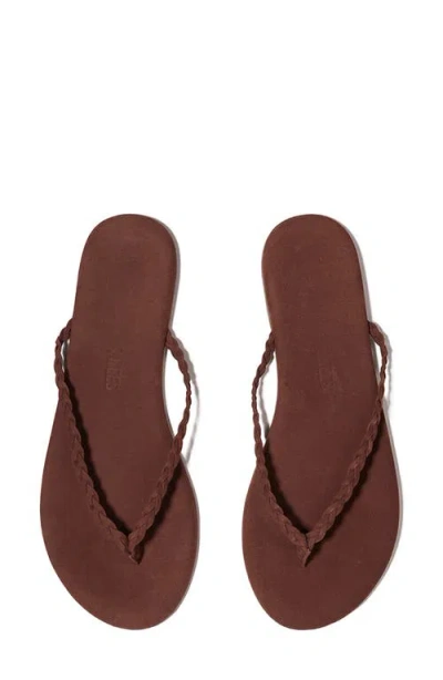 Tkees Foundation Matte Flip Flops In Cappuccino In Burgundy