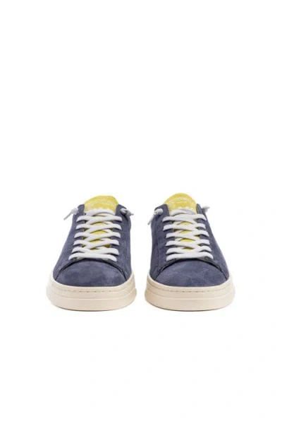 P448 Jack Sneaker In Multi